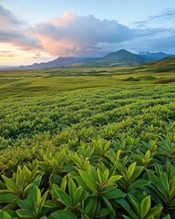 Fototapeta premium Serene landscape featuring lush green vegetation rolling hills and majestic mountains under a pastel sunset sky offering tranquility and natural beauty