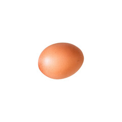 A single brown egg on a plain background, showcasing its smooth surface and natural color.