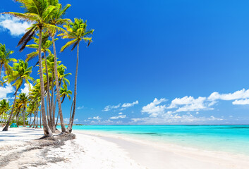 Bounty white sandy shore with coconut palm trees, caribbean sea washes tropical beach in Cap Cana,...