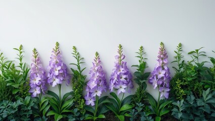 Naklejka premium Isolated line foliage and flowers on a white background