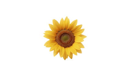 A vibrant sunflower in full bloom, adding joy and brightness to any nature-themed scene.