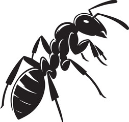 Carpenter Ant Vector | Black Ant Silhouette Clipart Illustration