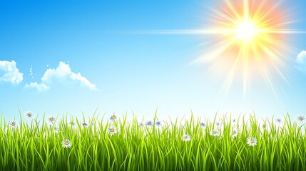 Obraz premium Sunny meadow, daisies, blue sky, spring, nature background