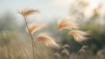 Close-Up of Plush Seeds Fluttering in Soft Wind with Delicate Sunlight in the Background