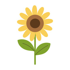 A yellow flower with a brown center. The flower is surrounded by green leaves. The flower is the main focus of the image