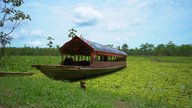 Traditional covered tourist boat (peque peque) docked on the shore of the Amazon River near Iquitos, Peru