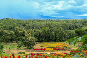 Colorful flower garden with lush greenery and mountain backdrop. High-angle view of a vibrant flower garden with various colorful flowers arranged in intricate patterns.