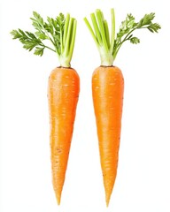 Two fresh carrots with green tops stand side by side on a white background.