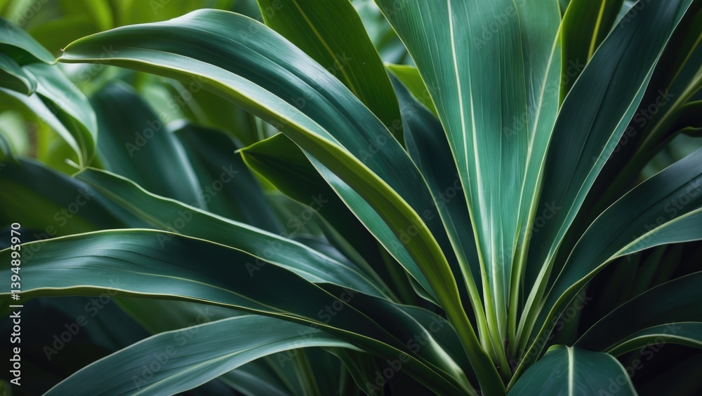 Poster close-up of a green tropical plant. abstract natural floral backdrop with selective focus and macro 