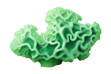 Fototapeta premium Microbiology invertebrate accessories underwater. PNG with transparent background.