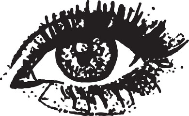 Hand-Drawn Eye Illustration (Bold Eyelashes), a hand-drawn illustration of a single human eye, rendered in black ink on a white background.