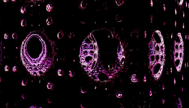 Abstract image of circular patterns with a dark purple and black color scheme. 3D rendering