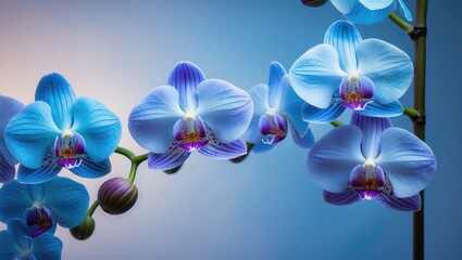 Tropical orchids set against a floral background