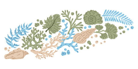 Underwater sea plants. Marine flora. Tropical water alga, seaweed, leaf grass coral shell. Exotic organic natural decoration for aquarium. Flat vector illustration isolated on white background.