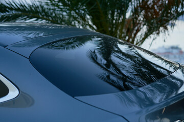 Reflections of palm tree leaves on the sunroof of a sleek gray car near a tropical setting.
