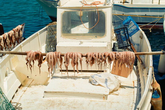 Fresh octopus hanging to dry on a fishing boat under the sun by the blue sea. Mykonos, Greece
