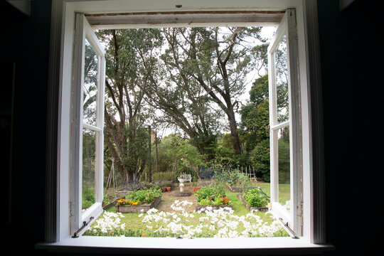 Open window overlooking a lush garden with flowers, trees, and a stone pathway.