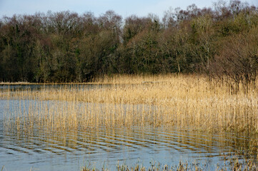 View on the lake in Hollywood park in Monaghan, Ireland