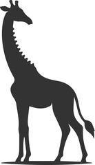 Silhouette of a giraffe black animal vector