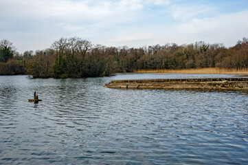 View on the lake in Hollywood park in Monaghan, Ireland