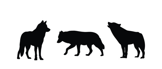 Silhouette of wolf vector isolated on white background.