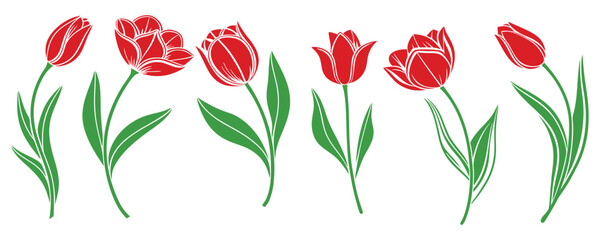 Set of red tulips vector on a white background