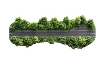 Aerial view of a road through a forest