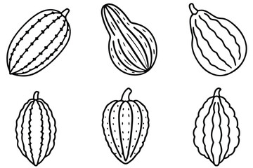 bitter melon line art traditional ink sketch of healthy vegetable