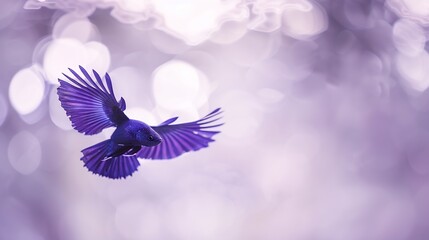 Obraz premium Neon blue betta fish swimming gracefully in a desaturated tank its flowing fins creating an ethereal dreamlike effect