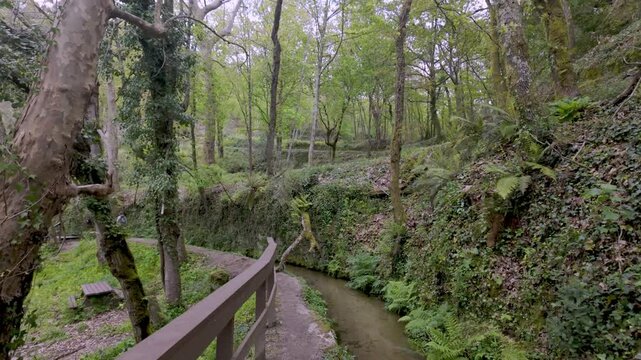 Winding path with wooden railings alongside a clear levada through a lush green forest in Felgueiras under soft, natural daylight.
