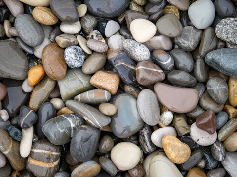 Sea stones
