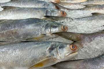Fresh fish for sale on ice in a supermarket.