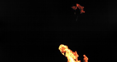 a beautiful extended upward bright orange flame flares up against a black background, slow motion