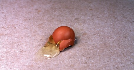 A chicken egg falls and breaks, spreading over a light surface