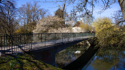 Bridge over a river in the park with trees in bloom