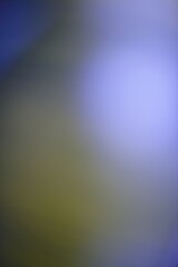 Smooth Abstract Background with Gradient of Blue and Olive Tones