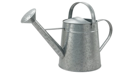 Isolated Metal Watering Can