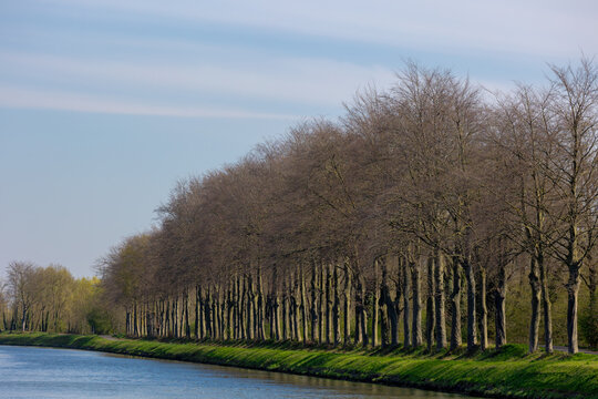 Spring landscape, Countryside with canal and green grass and line of tree under blue sky, The Koning albert kanaal (King albert channel) in small town of Rekem, Belgium, The border between Netherlands
