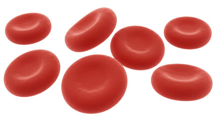 Isolated Red Blood Cells