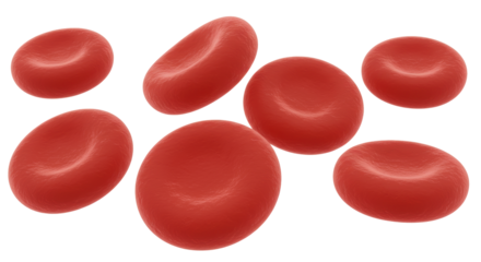 Isolated Red Blood Cells