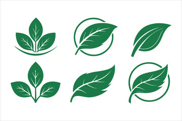 Green leaves collection vector icon set, a natural plant illustration with floral design