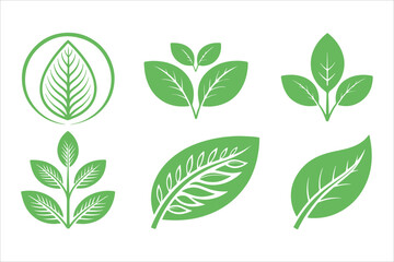 Green leaf vector set nature plant icon design