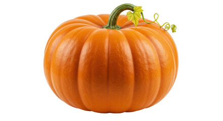 Isolated Pumpkin