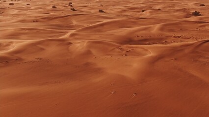 Sand dunes in the desert in Dubai, United Arab Emirates . Shooting from a quadcopter, top view