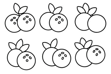 blueberry line art minimal fruit illustration for organic market branding