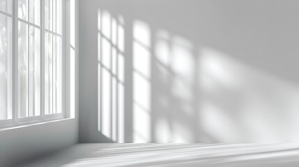 White light and shade effect isolated for summer designs  
