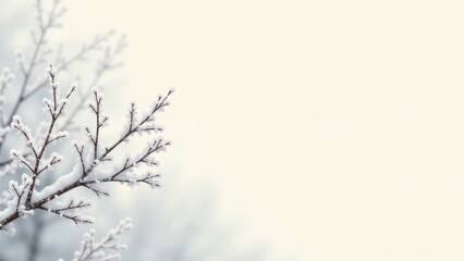 Winter's Delicate Embrace A Snow-Covered Branch Against a Soft, Light Background, Evoking Serenity and the Beauty of a Frosty Landscape