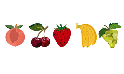 assorted fresh fruits illustration vector clipart
