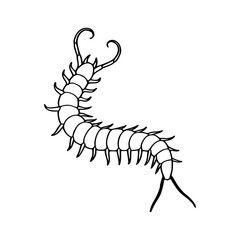 centipede outline vector illustration