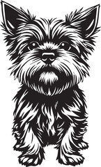 Yorkshire terrier dog. Hand drawn vector illustration	